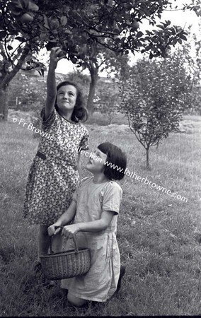 CHILDREN GATHERING APPLES  G S CONVENT